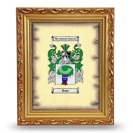 Royo Coat of Arms Framed - Gold