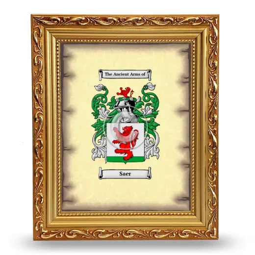 Saer Coat of Arms Framed - Gold