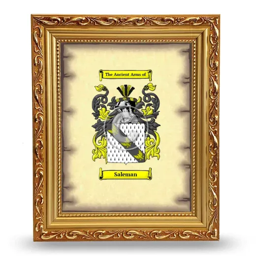 Saleman Coat of Arms Framed - Gold