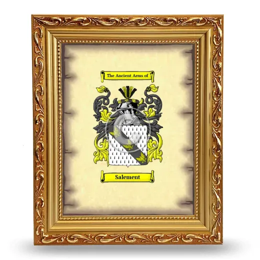 Salement Coat of Arms Framed - Gold