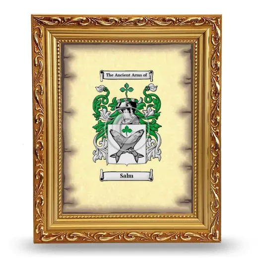 Salm Coat of Arms Framed - Gold