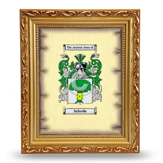 Salseda Coat of Arms Framed - Gold