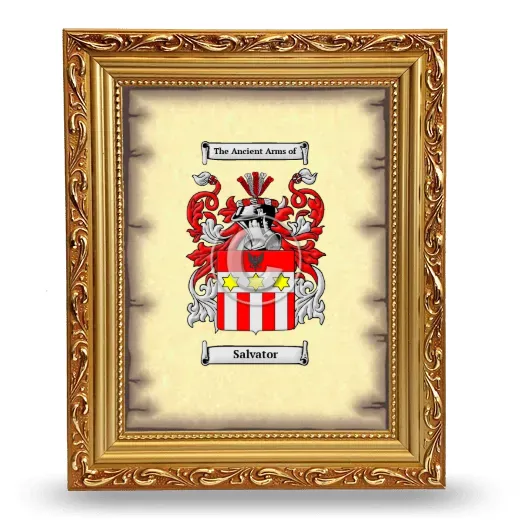 Salvator Coat of Arms Framed - Gold