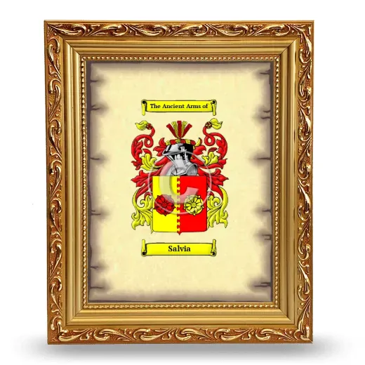 Salvia Coat of Arms Framed - Gold
