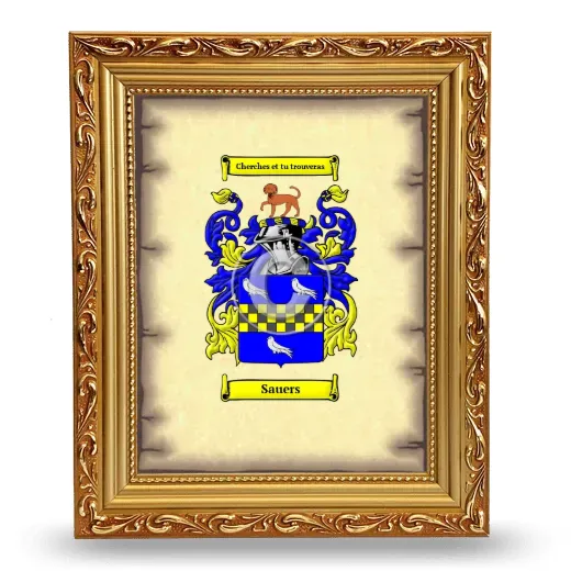 Sauers Coat of Arms Framed - Gold