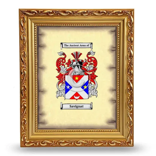 Savignat Coat of Arms Framed - Gold