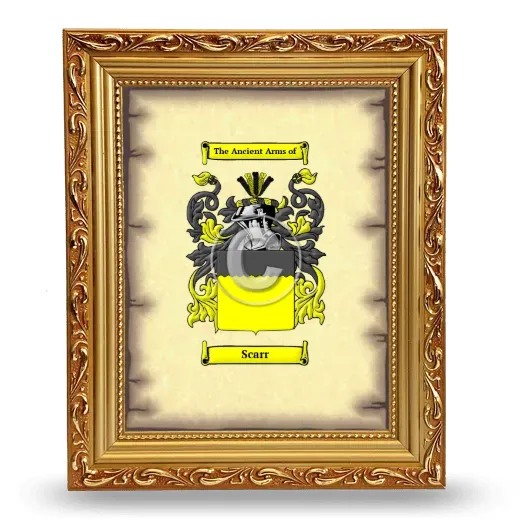 Scarr Coat of Arms Framed - Gold