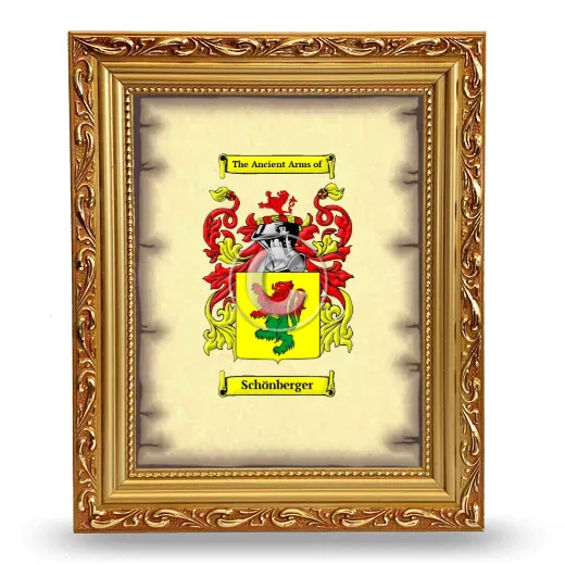Schönberger Coat of Arms Framed - Gold