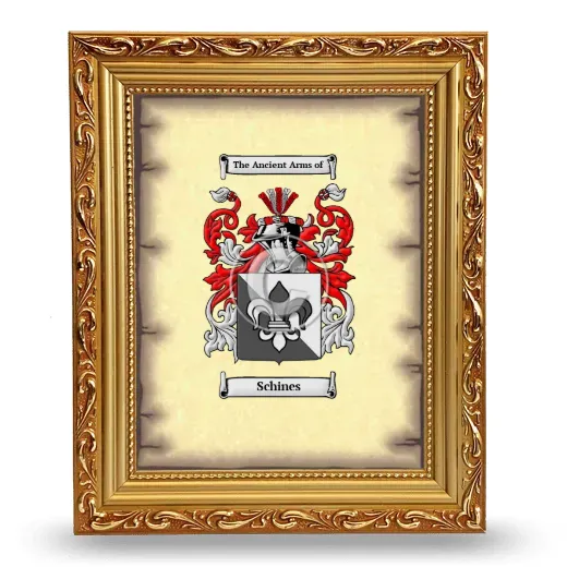 Schines Coat of Arms Framed - Gold