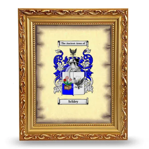 Schley Coat of Arms Framed - Gold