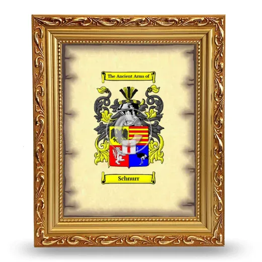 Schnurr Coat of Arms Framed - Gold