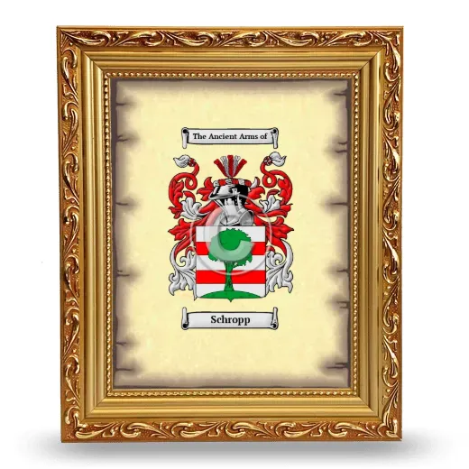 Schropp Coat of Arms Framed - Gold