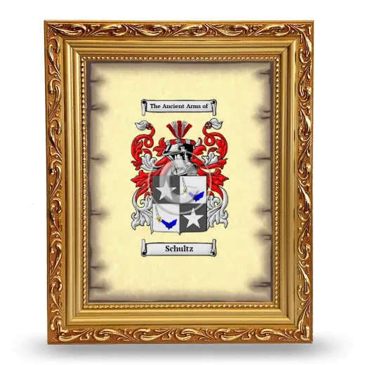 Schultz Coat of Arms Framed - Gold
