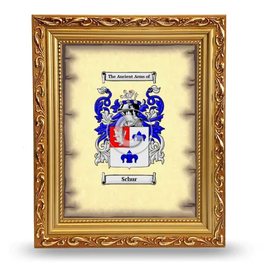 Schur Coat of Arms Framed - Gold