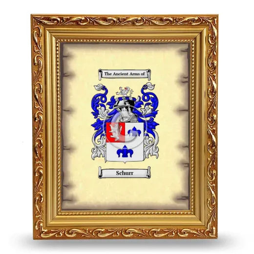 Schurr Coat of Arms Framed - Gold