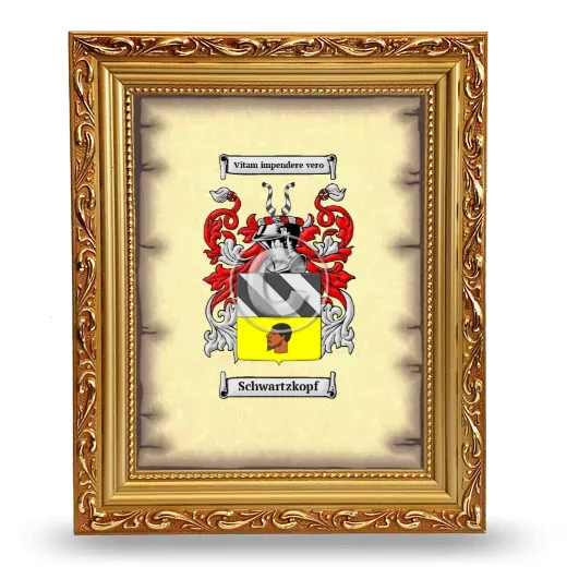 Schwartzkopf Coat of Arms Framed - Gold