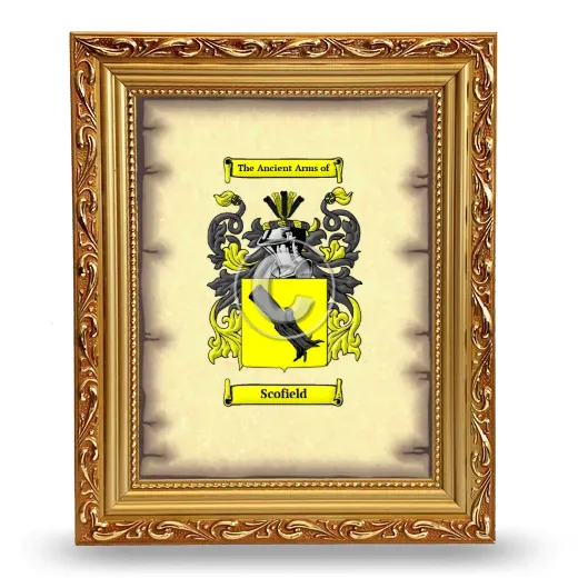 Scofield Coat of Arms Framed - Gold