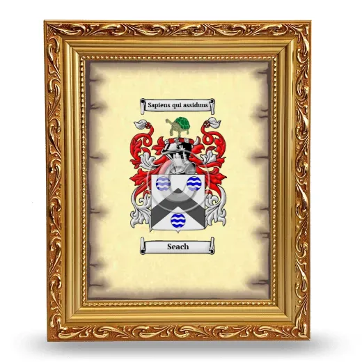 Seach Coat of Arms Framed - Gold