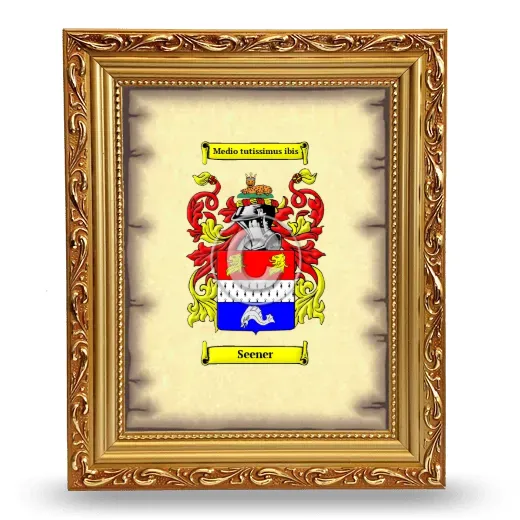 Seener Coat of Arms Framed - Gold