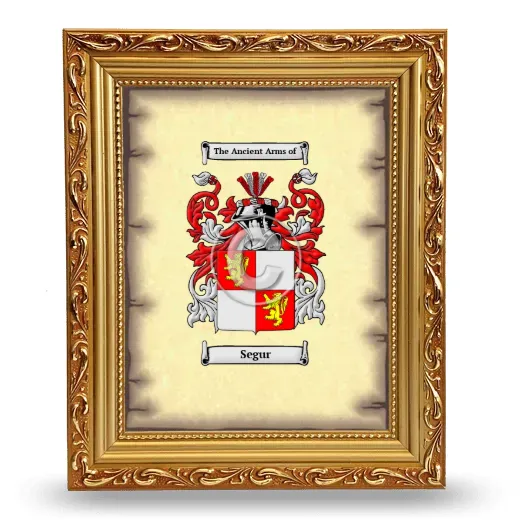 Segur Coat of Arms Framed - Gold