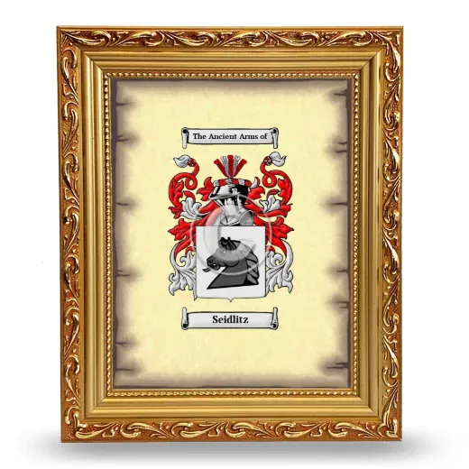 Seidlitz Coat of Arms Framed - Gold