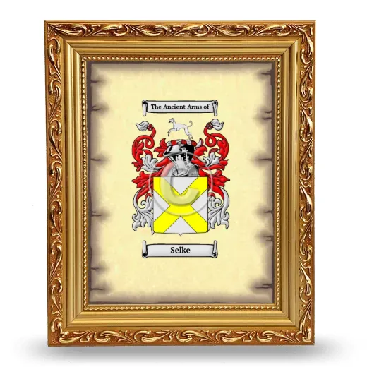 Selke Coat of Arms Framed - Gold