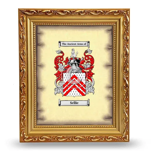 Sellie Coat of Arms Framed - Gold