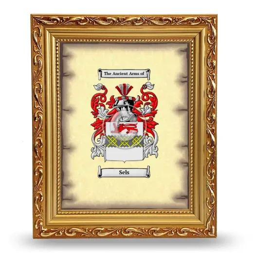 Sels Coat of Arms Framed - Gold