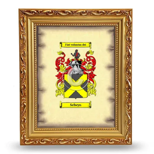 Selwyn Coat of Arms Framed - Gold