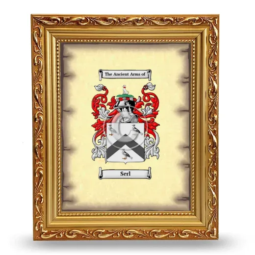 Serl Coat of Arms Framed - Gold
