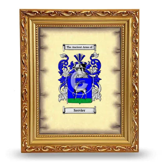 Servier Coat of Arms Framed - Gold