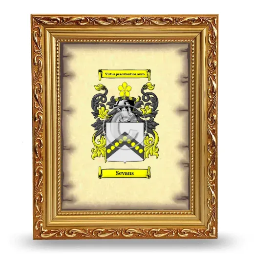 Sevans Coat of Arms Framed - Gold