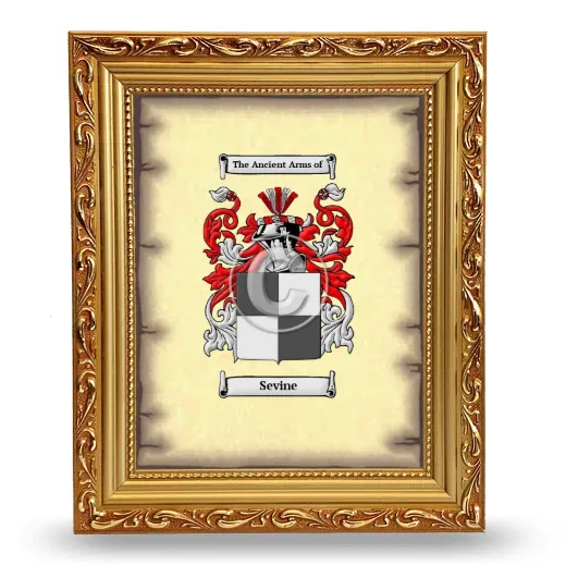 Sevine Coat of Arms Framed - Gold