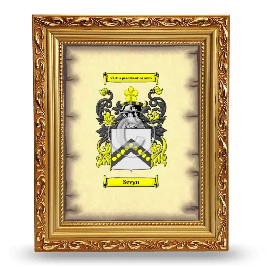 Sevyn Coat of Arms Framed - Gold