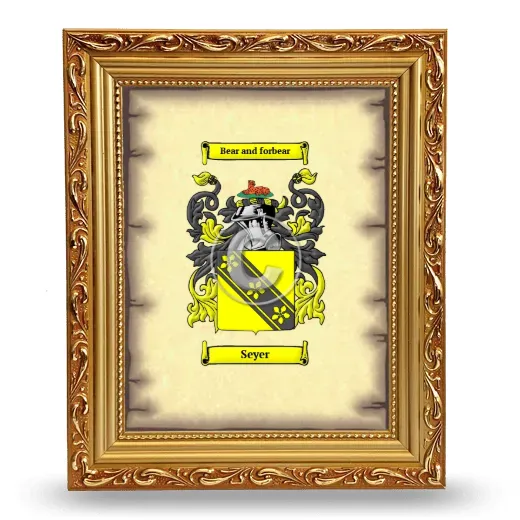 Seyer Coat of Arms Framed - Gold