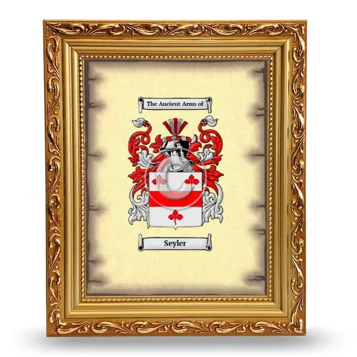 Seyler Coat of Arms Framed - Gold