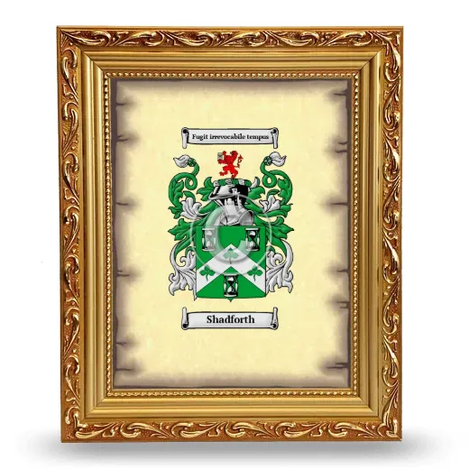 Shadforth Coat of Arms Framed - Gold