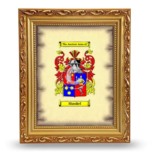 Shankel Coat of Arms Framed - Gold