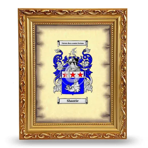 Shantie Coat of Arms Framed - Gold