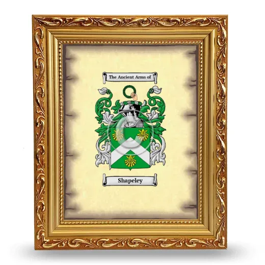Shapeley Coat of Arms Framed - Gold