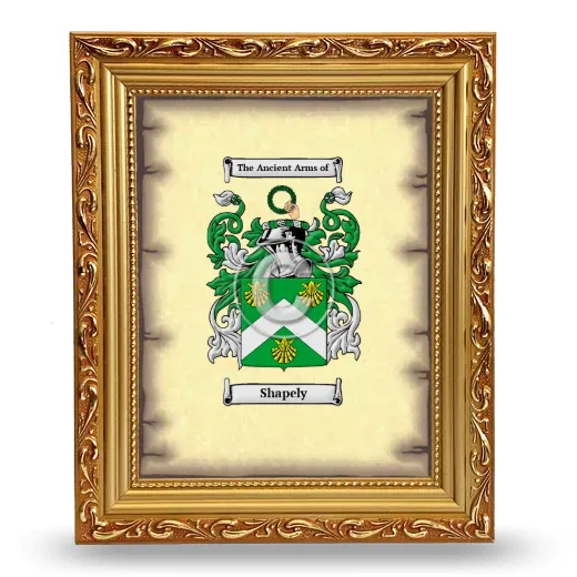 Shapely Coat of Arms Framed - Gold