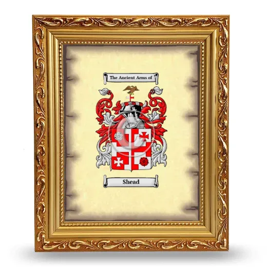 Shead Coat of Arms Framed - Gold