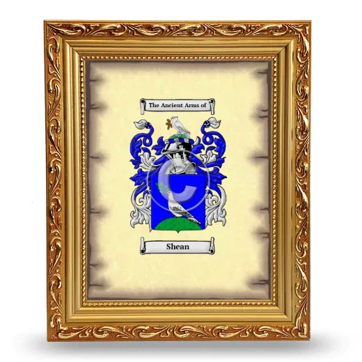 Shean Coat of Arms Framed - Gold