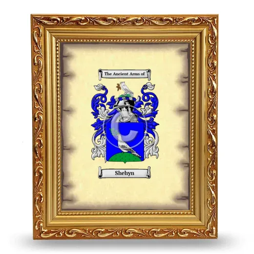 Shehyn Coat of Arms Framed - Gold