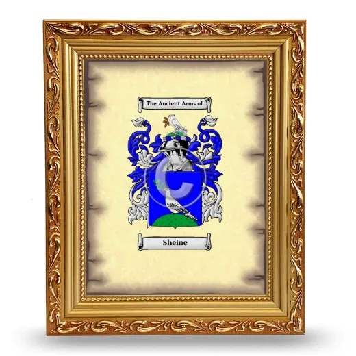 Sheine Coat of Arms Framed - Gold