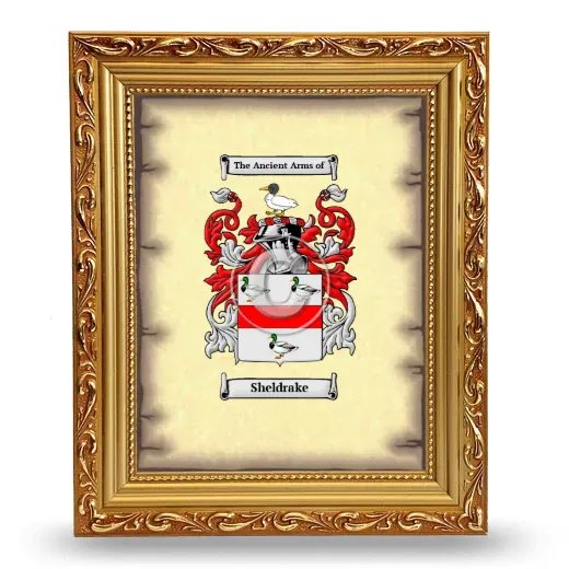 Sheldrake Coat of Arms Framed - Gold