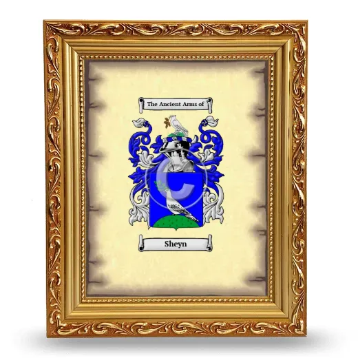 Sheyn Coat of Arms Framed - Gold