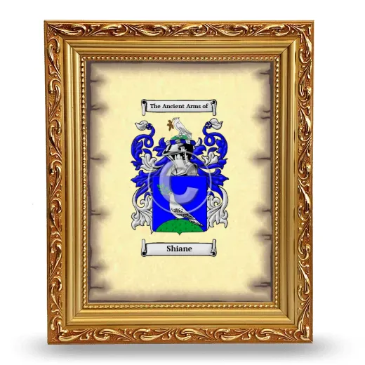 Shiane Coat of Arms Framed - Gold