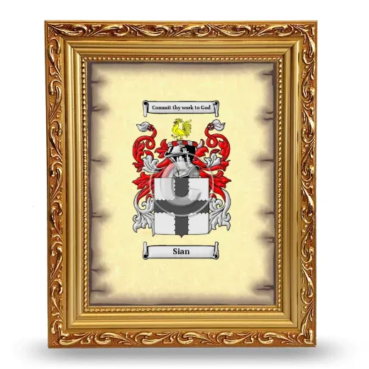 Sian Coat of Arms Framed - Gold