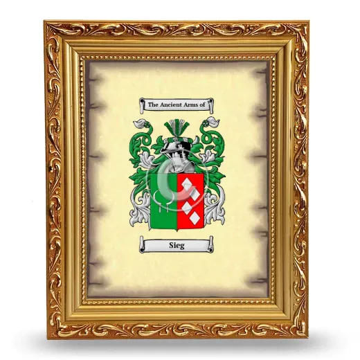 Sieg Coat of Arms Framed - Gold
